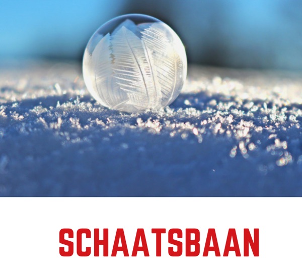 schaatsbaan kerstmarkt antwerpen